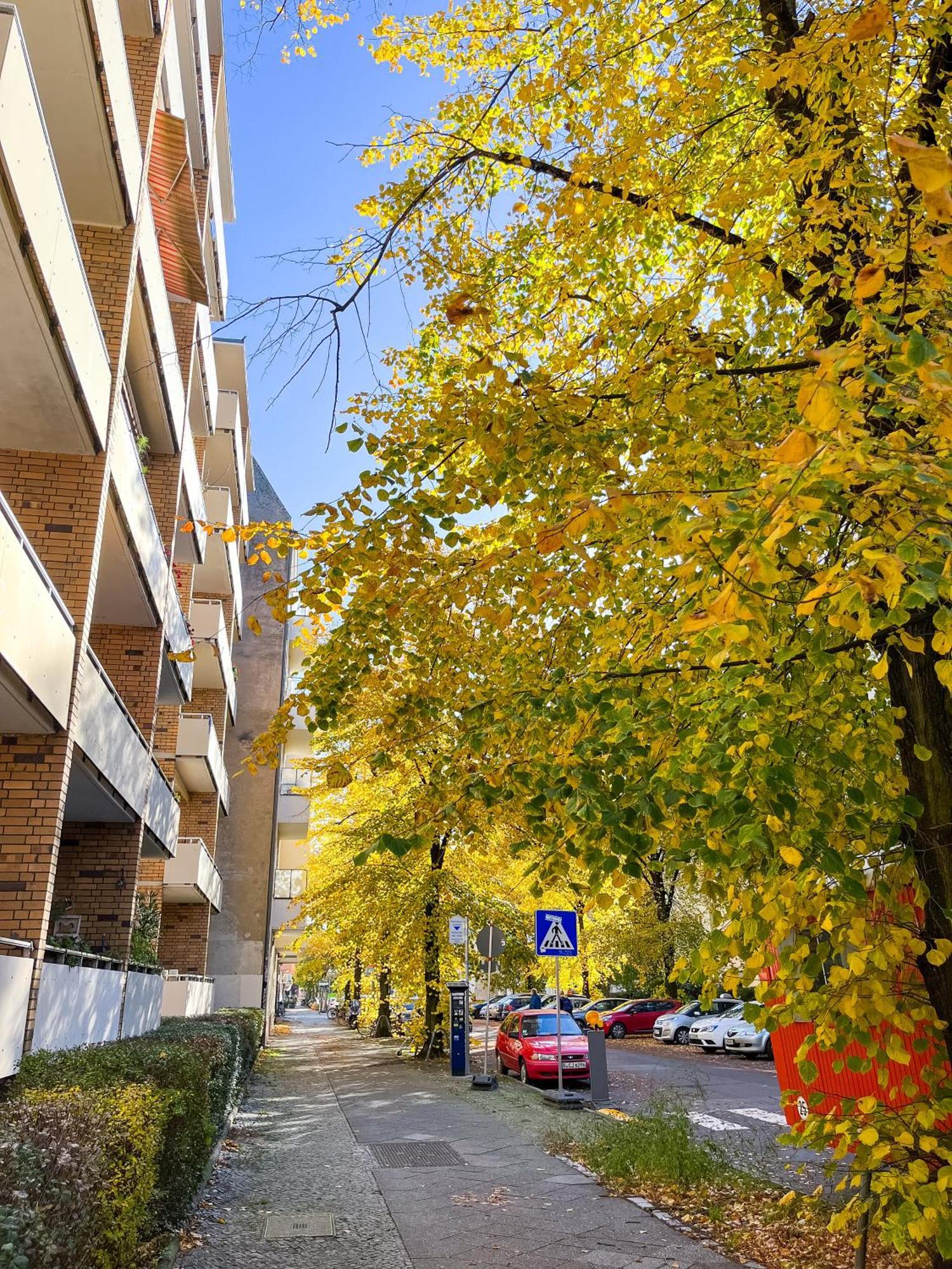 01 Bedroom In Mitte-Up To 5 People-Private Free Parking Берлин Экстерьер фото
